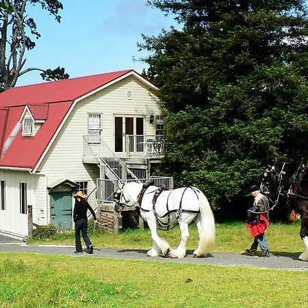 The Carriage House-Bay Of Islands Villa Kerikeri Eksteriør billede